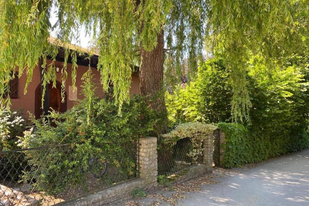 Gartenwohnung 5 Min. Zur Stadt Hagenau Exteriör bild